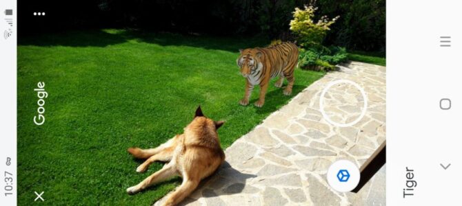 My dog meets Google’s AR tiger in the garden