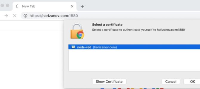 Node-RED with mutual TLS authentication