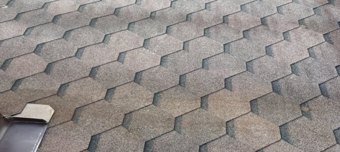 Roof rafters under asphalt shingles