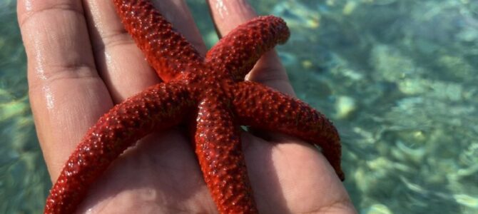Patrick moved to a safer depth