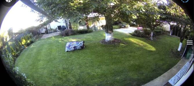 AI Tasks
