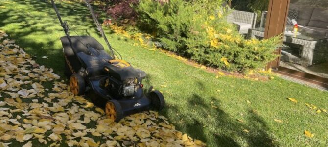 Mow the leafs into compact mulch for compost