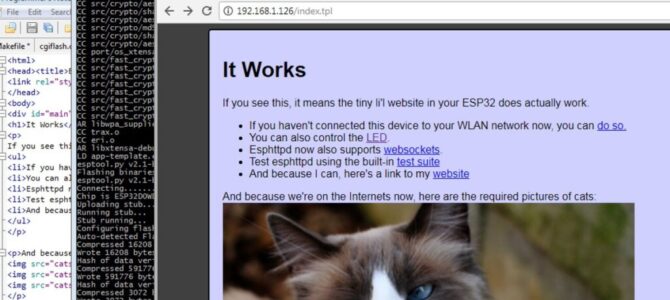 Feeding the internet with even more cat images
