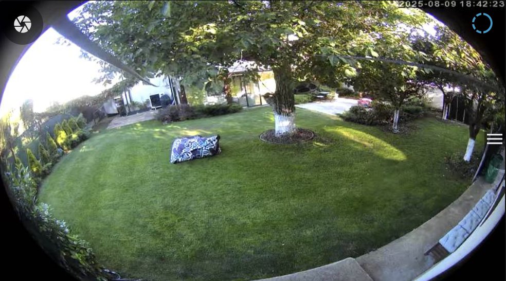 Backyard camera frame with a beanbag left on the lawn, the object the AI check flagged before an irrigation run