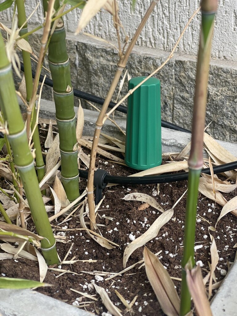Third Reality soil moisture probe pushed into the soil of a bamboo pot